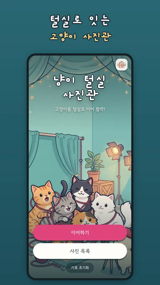 고양이들이 모여 있는 냥이 털실 사진관 첫 화면